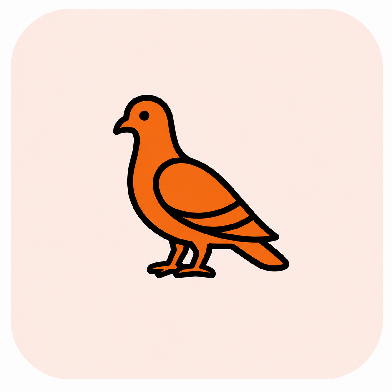 pigeon